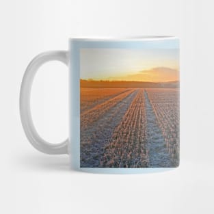 Wallops Wood Sunrise, December 2022 Mug